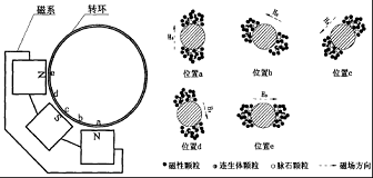 高梯度磁選機(jī)的磁場結(jié)構(gòu)圖